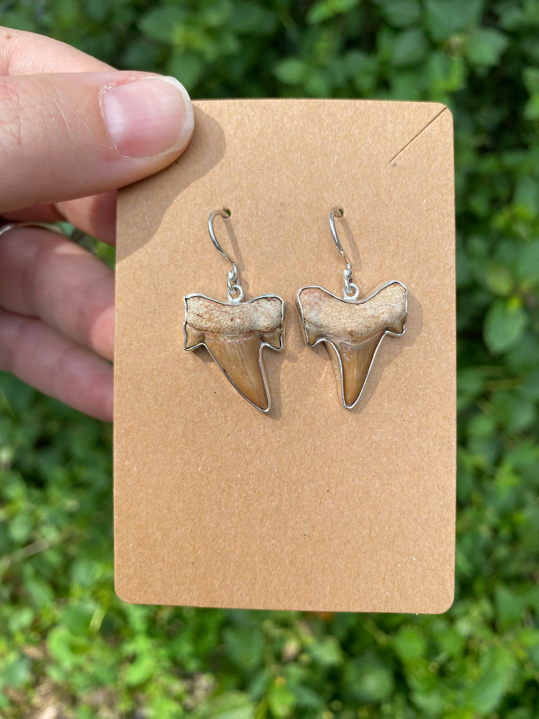 Sterling Silver Otodus Shark Tooth Earrings