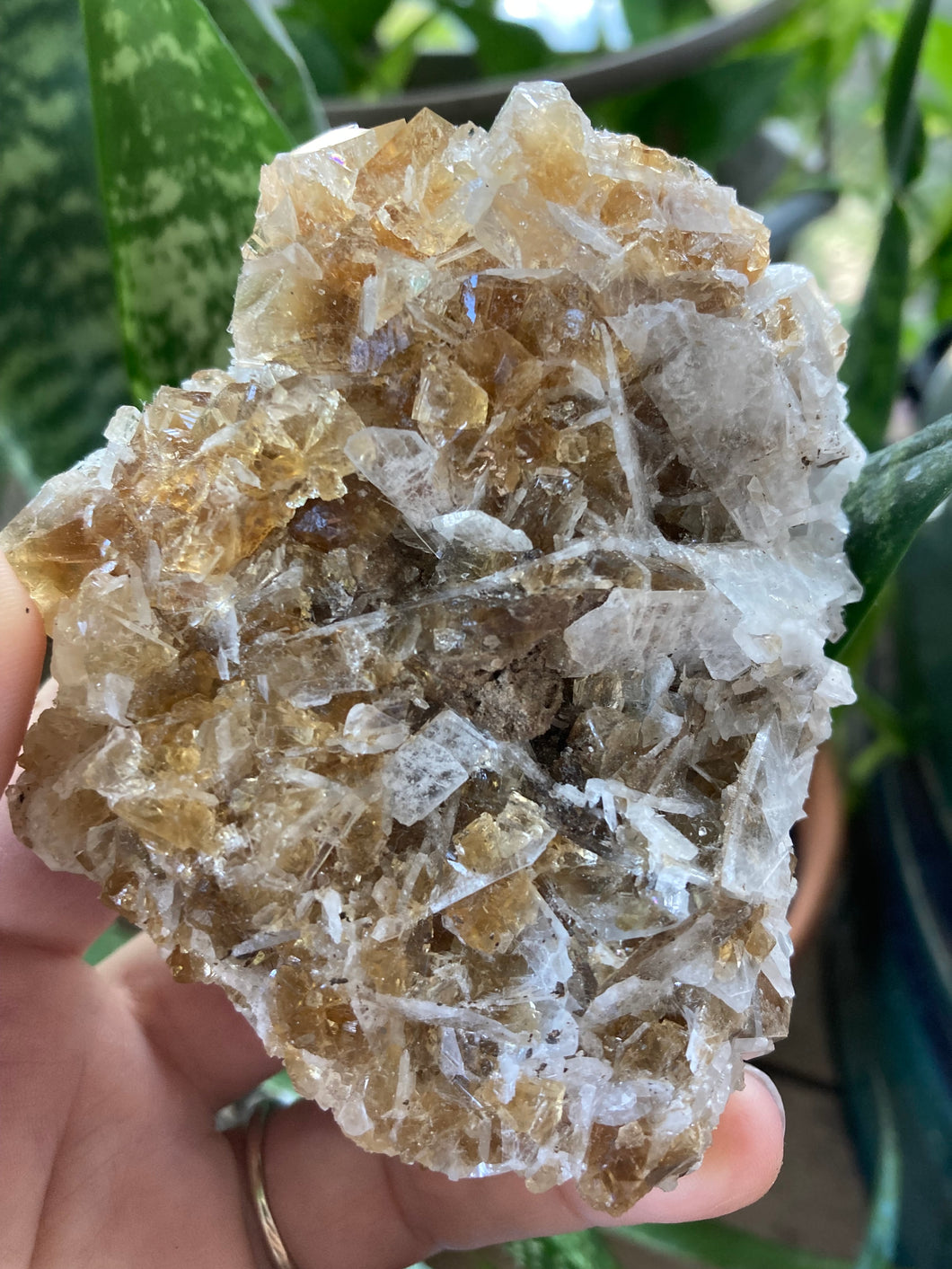 Golden Fluorite