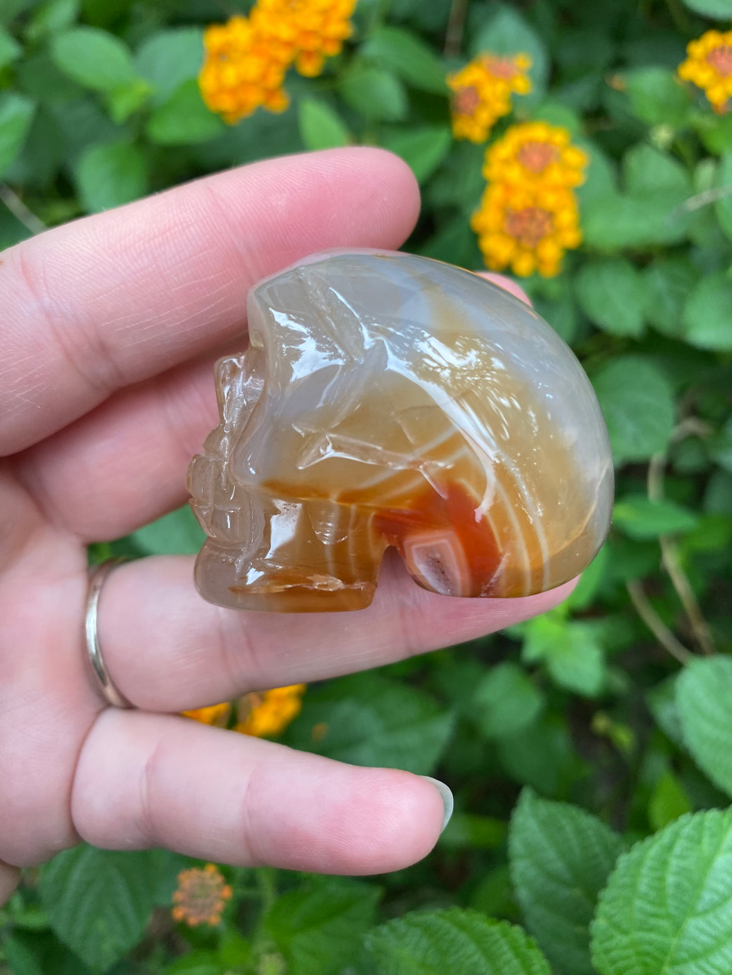 Carnelian Agate Skull With Druzy