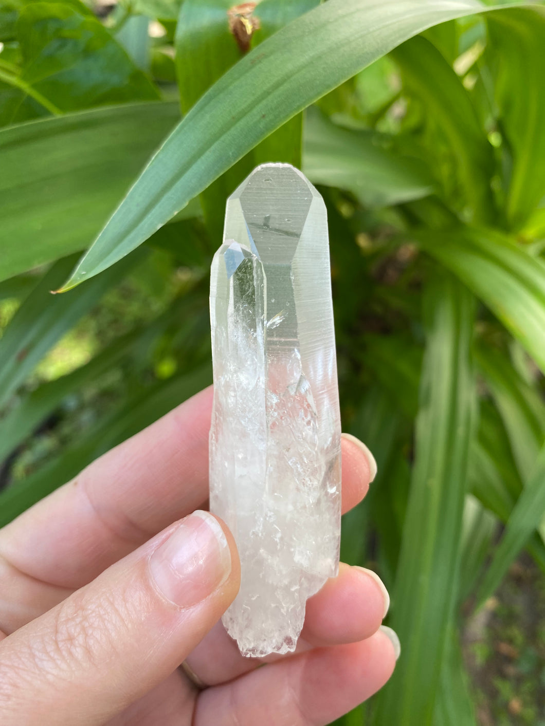 Lemurian Quartz