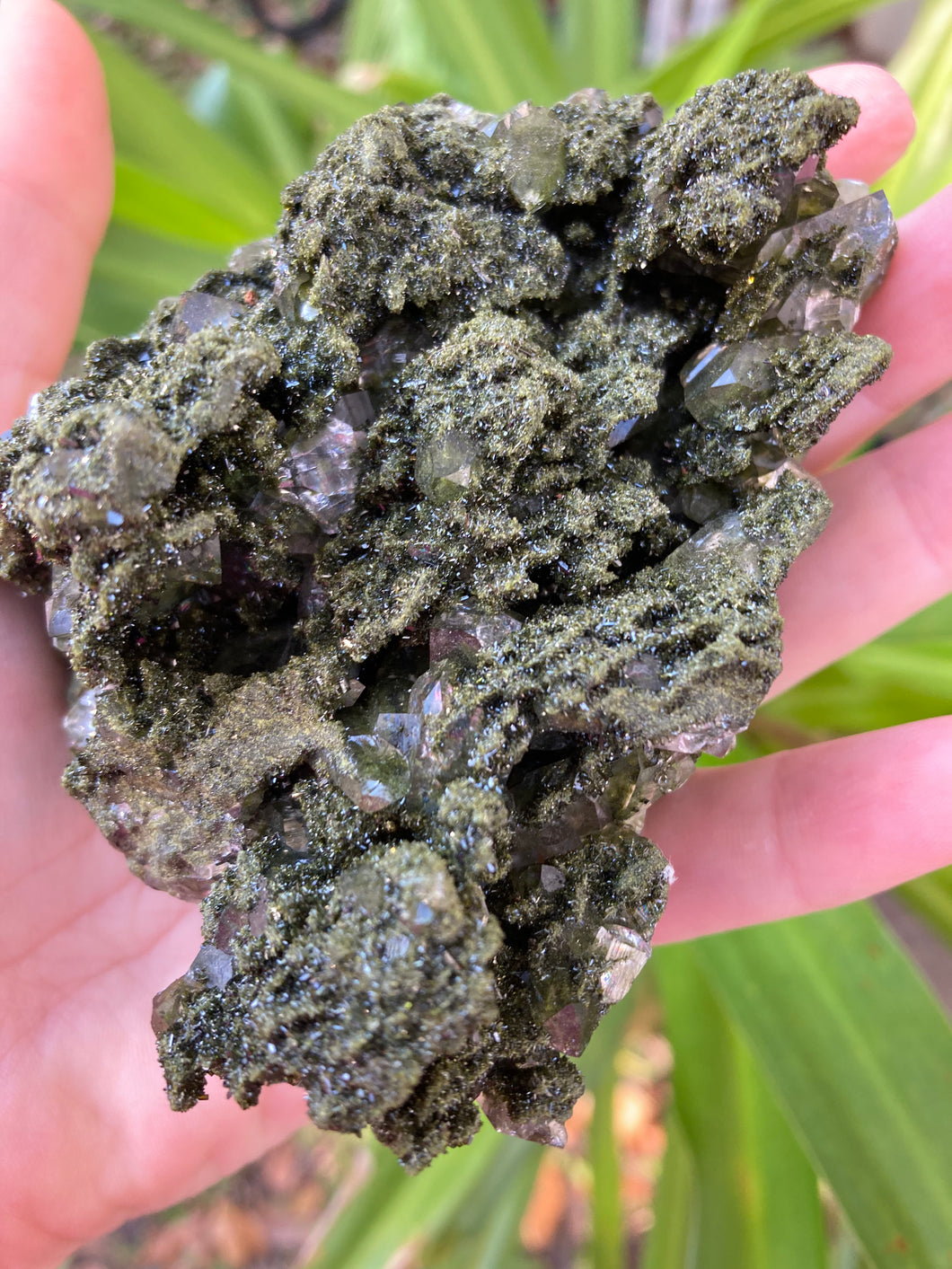 Green Forest Epidote From Turkey