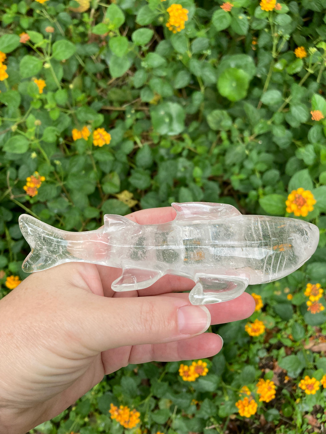 Clear Quartz Shark Carving