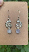 Load and play video in Gallery viewer, Sterling Silver Rainbow Moonstone With Nautilus Shell Earrings
