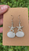 Load and play video in Gallery viewer, Sterling Silver Starfish With Real Seashell Earrings
