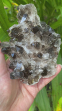 Load and play video in Gallery viewer, Smoky Quartz Cluster
