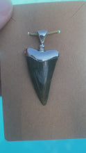 Load and play video in Gallery viewer, Megladon Tooth Pendant .925 Sterling Silver
