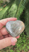 Load and play video in Gallery viewer, Labradorite Heart Pink Flash
