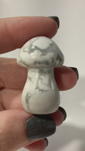 Load and play video in Gallery viewer, Howlite Mushroom
