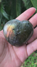 Load and play video in Gallery viewer, Labradorite Heart
