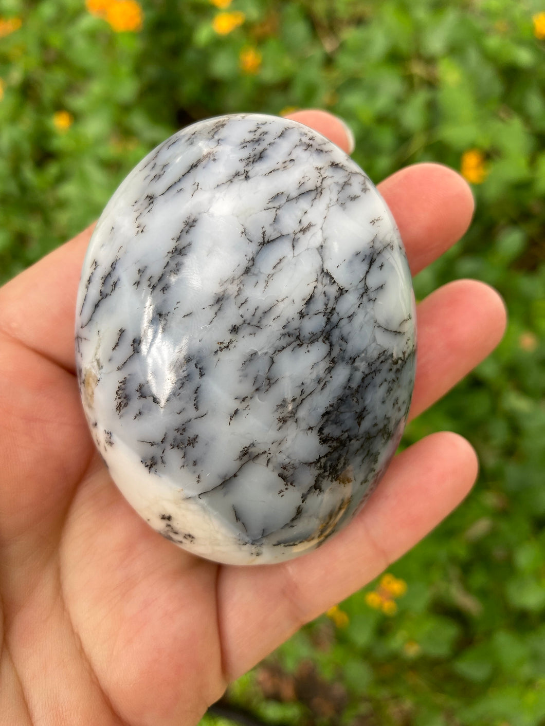 Dendritic Opal Palm Stone