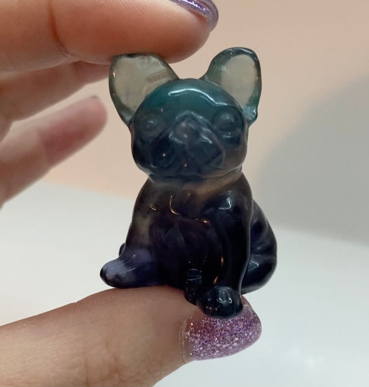 Fluorite French Bulldog