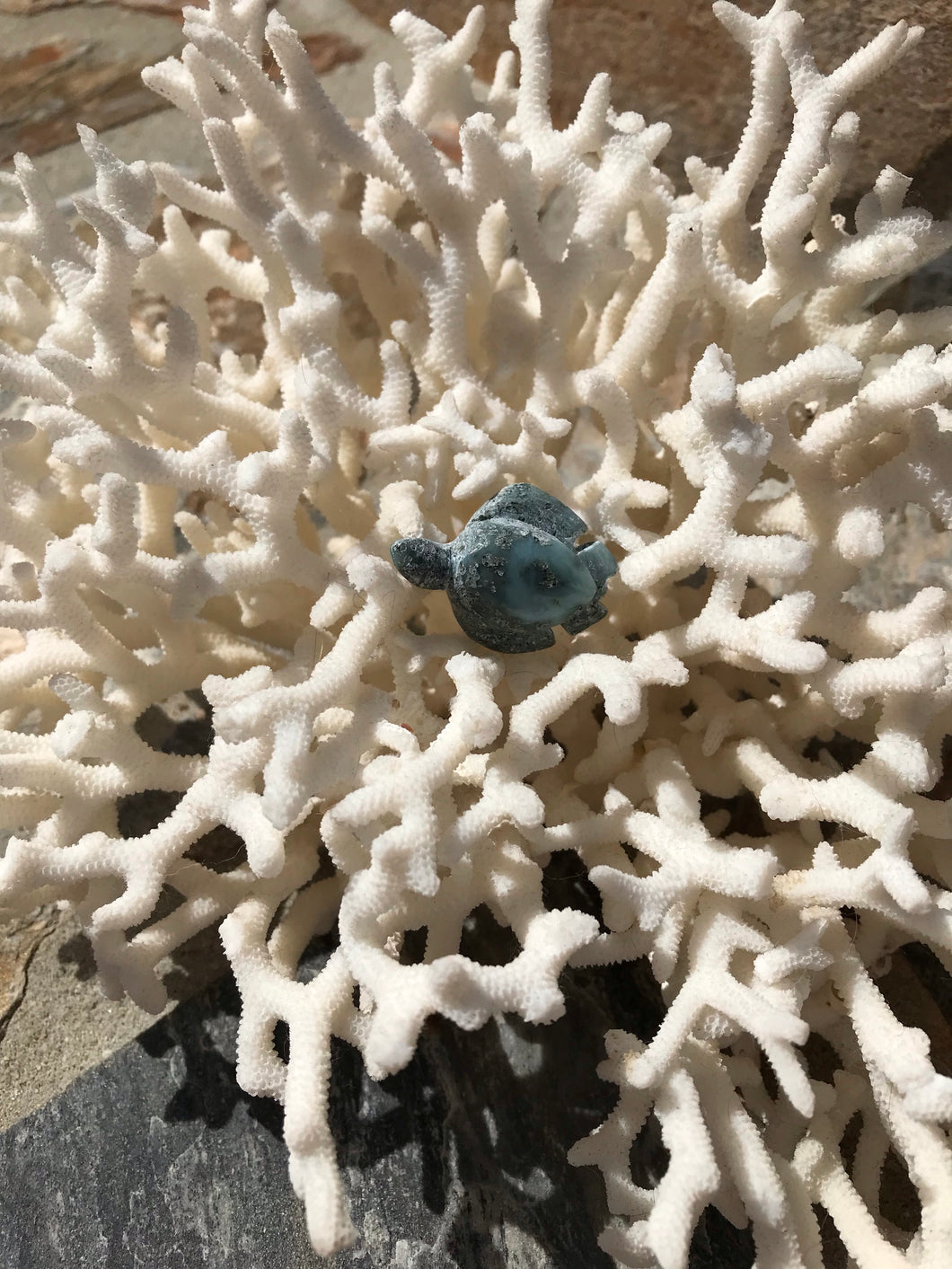 Larimar Turtle Carving