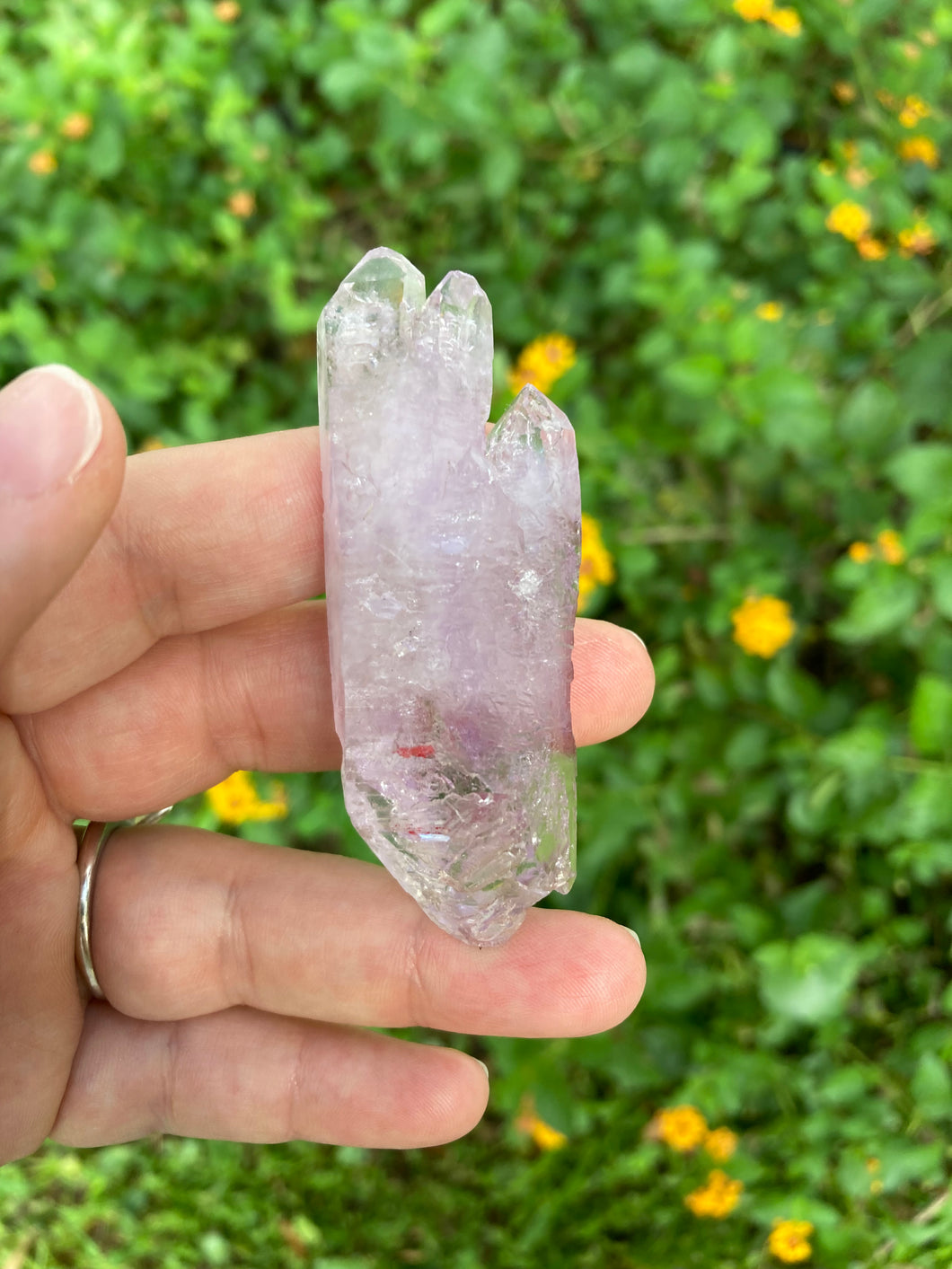 Vera Cruz Amethyst Enhydro