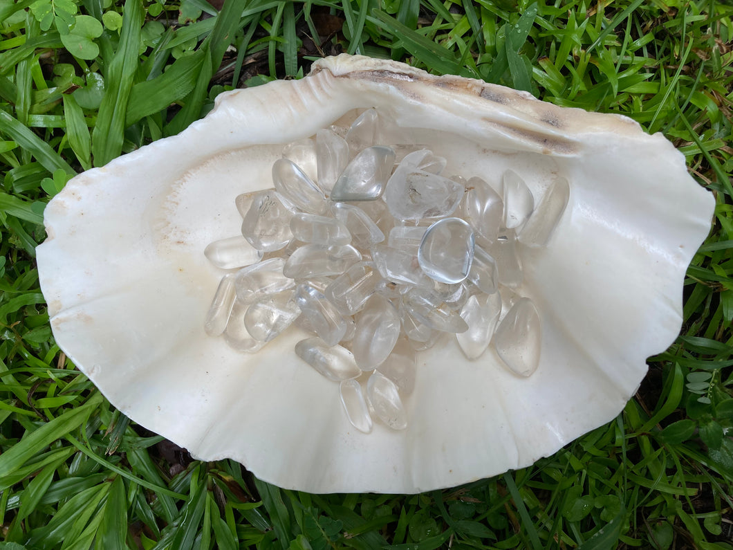 Clear Quartz Crystal Tumbles