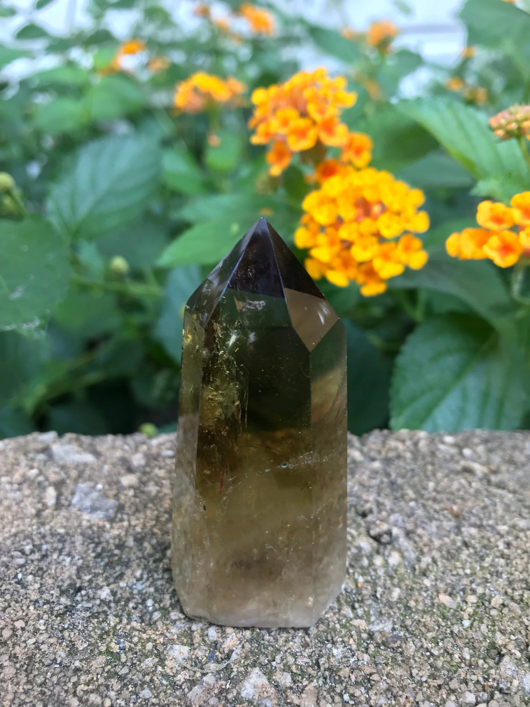 Smoky Citrine Point