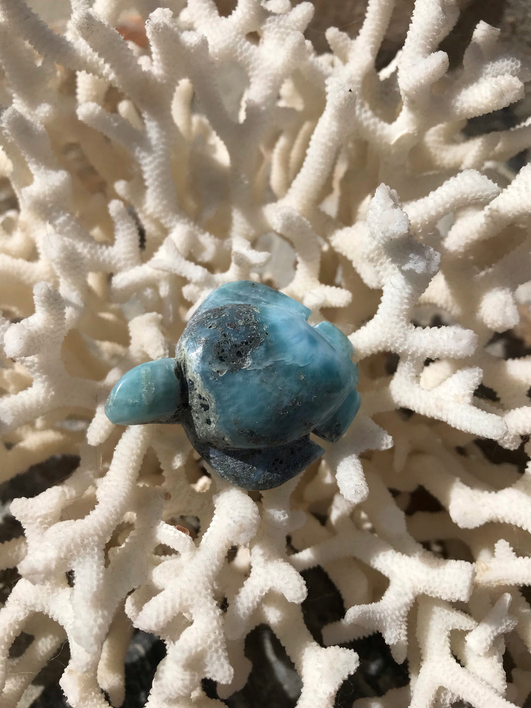 Larimar Turtle Carving