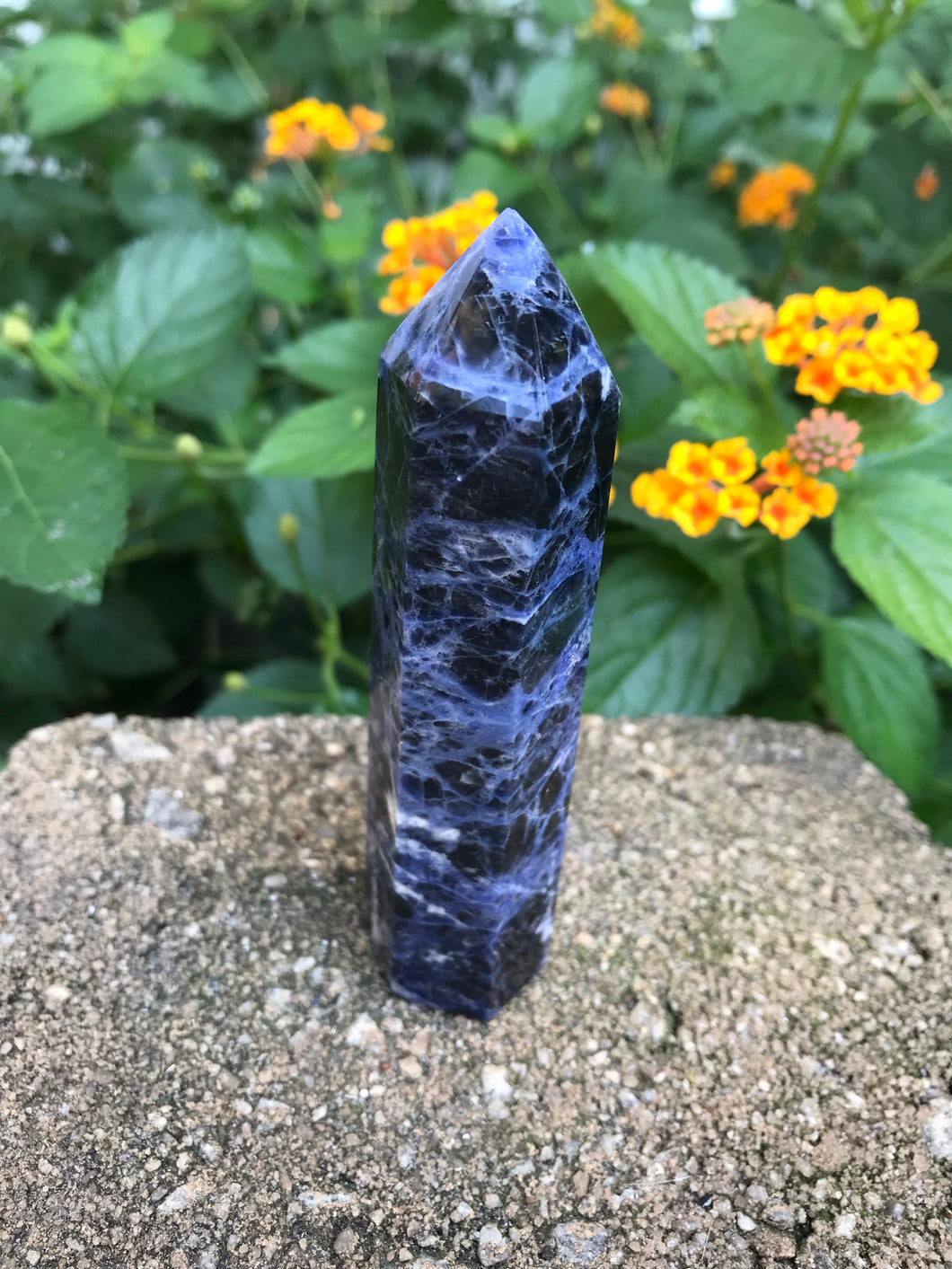 Sodalite Point