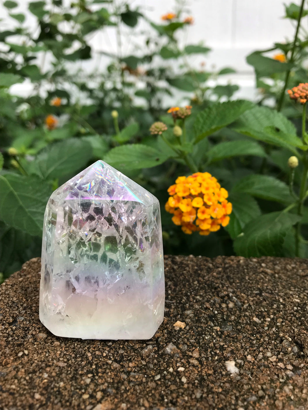 Aura Crackle Quartz Crystal Point