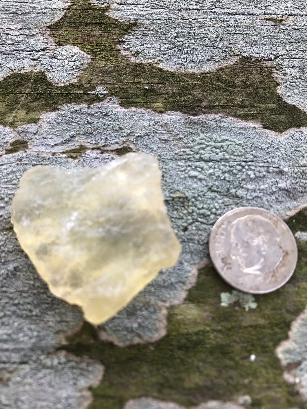 Libyan Desert Glass