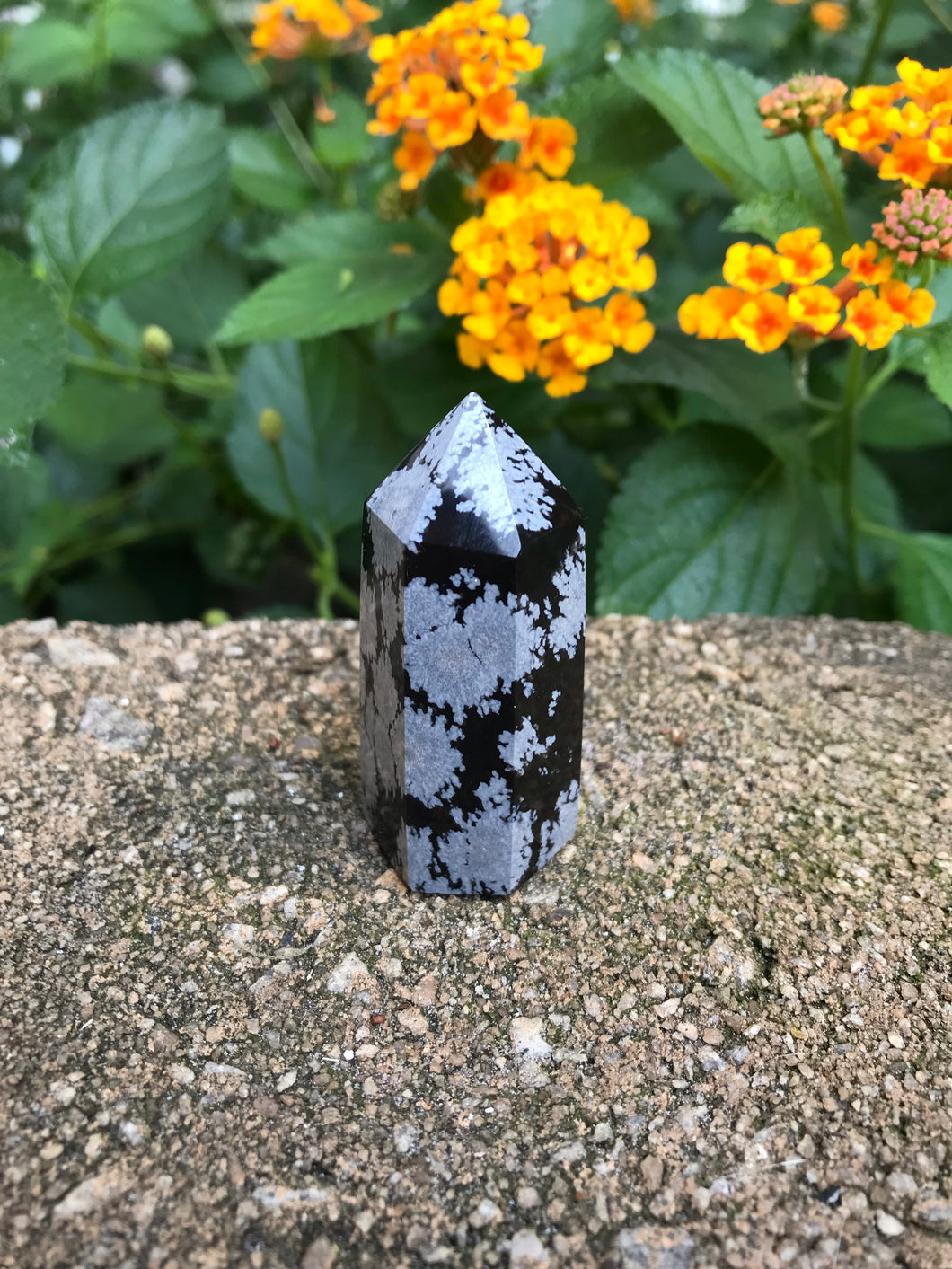 Snowflake Obsidian Point